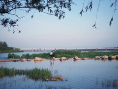 -绿堤公园