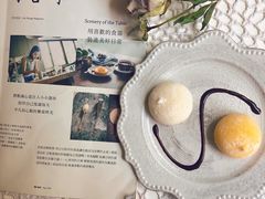 榴莲大福-MZ猫咖