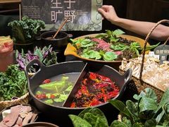 -大龙燚·旷野鲜火锅(广州首店)
