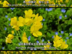 -上海滨江森林公园