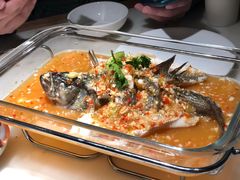 -佬肥猫(国华广场店)