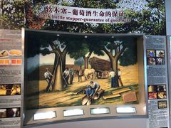 -北京张裕爱斐堡酒庄