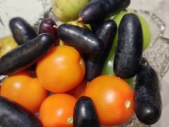 -宫燕府·京菜·烤鸭·淮扬菜(王府中心店)