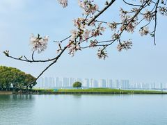 -苏州独墅湖世尊酒店