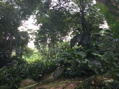 -新加坡飞禽公园