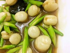 -义福巷鱼翅燕窝
