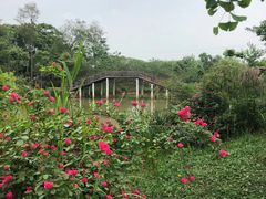 -白鹭湾湿地公园