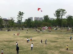 -府河摄影公园
