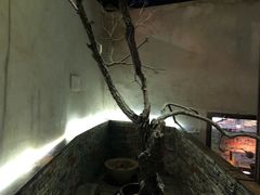-几荷·恰似故人来(秀水广场店)