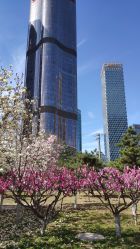 -大望京儿童游乐场