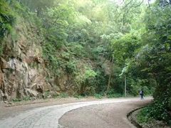 -上海佘山国家森林公园西佘山园