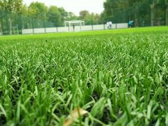 -南京奥林匹克体育中心-体育馆