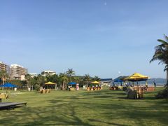 -采粤轩中餐厅(惠州金海湾喜来登度假酒店)