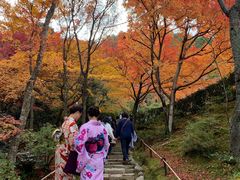 -常寂光寺