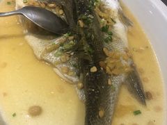 -泰河谷·豆捞