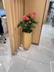 -南京康美美容医院·旗舰店