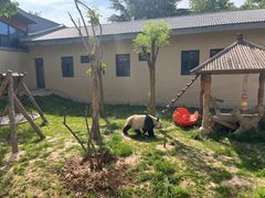 -石家庄市动物园