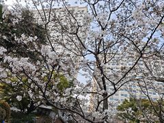 -兰溪青年公园