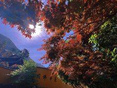-九华山风景区