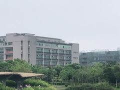-福田红树林生态公园