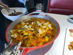 -雲蜀龙阁·金牌水煮鱼(方庄店)