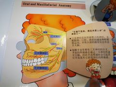-瑞尔齿科(东方广场诊所)