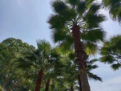 -汇雅温泉
