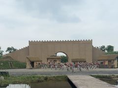 -泗洪洪泽湖湿地景区