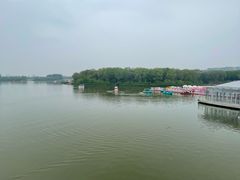 -大兴滨河森林公园