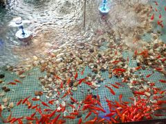 -水晶之星洗浴温泉汗蒸