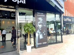 -风向标WIND VANE SALON