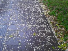 -杭州师范大学(下沙校区)