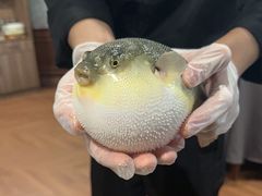 -肆月河豚·新淮扬(金融街店)