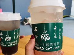 -有猫主题·治愈系猫咖(曾厝垵店)