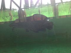 iphone_upload_pic-东部华侨城