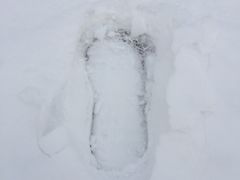 -南开大学滨海学院