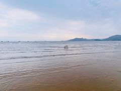-威海大乳山景区