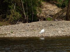 -九曲溪竹筏码头