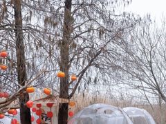 -同里国家湿地公园