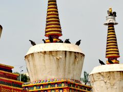 -塔尔寺游客服务中心