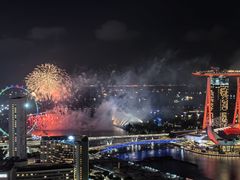 -新加坡瑞士史丹福酒店