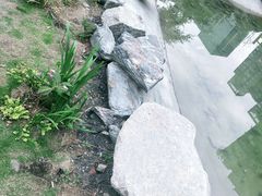 -浮何烤铺(桐梓林店)