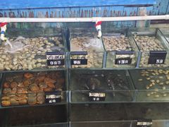 -蓝湾碧波·老字号·疍家非遗海上餐厅
