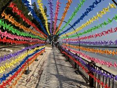 -北海金海湾红树林生态旅游区