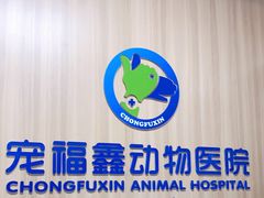 -宠福鑫康馨动物医院·骨科·眼科