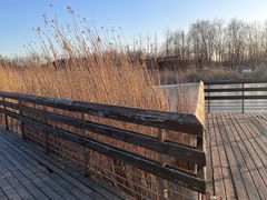-马家湾湿地公园