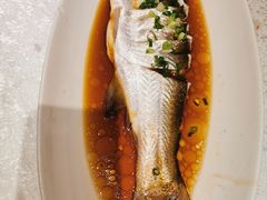 -金美华轩(东方路齐鲁店)