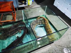 水产区-渔人湾码头海鲜市场负二楼