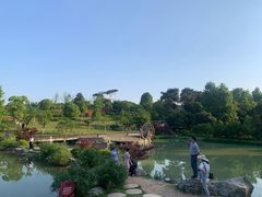 -铁山坪森林公园