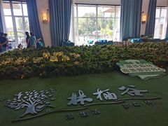 -林栖谷森林康养度假区